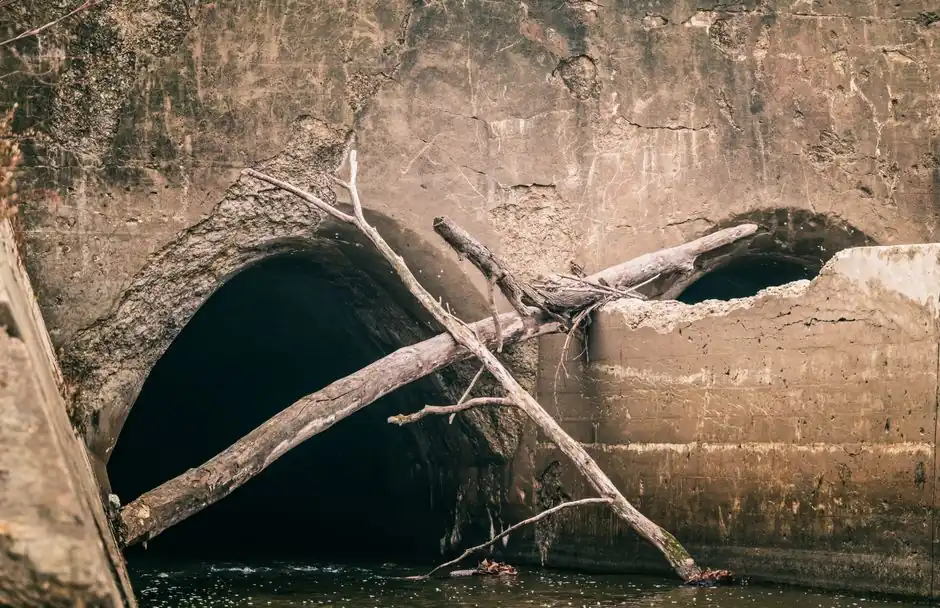 A rustic sewer entrance with fallen tree branches and water flow, creating an urban decay vibe.